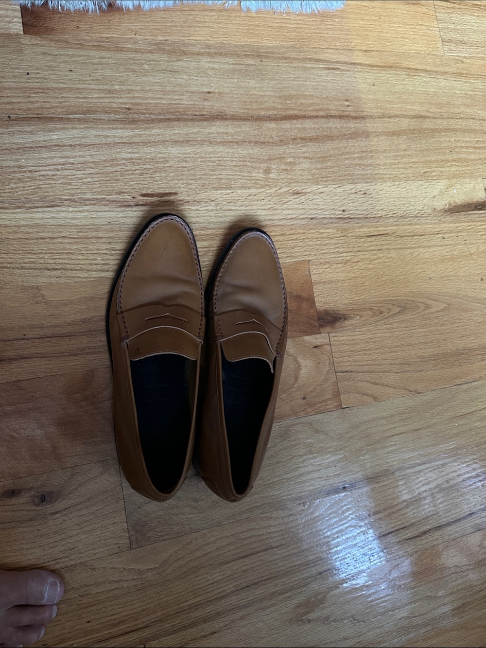 Men's TODS TOD'S Loafers Tan Penny Loafers Shoes Dress EUC